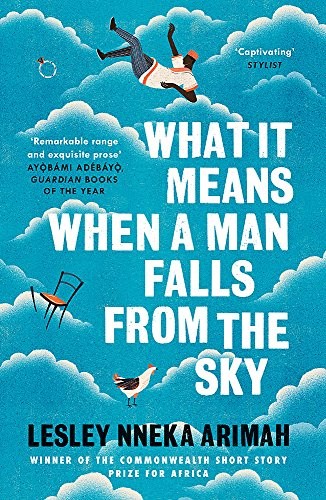 What It Means When A Man Falls From The Sky (2018, Tinder Press)