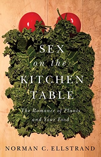 Sex on the Kitchen Table (Hardcover, University of Chicago Press)