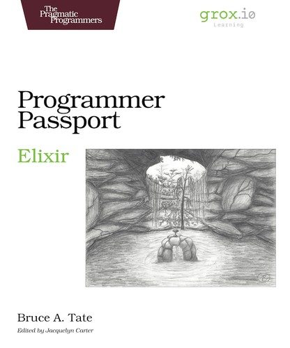 Programming Passport: Elixir (Paperback, 2022, The Pragmatic Bookshelf)