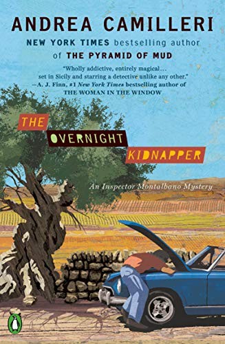 The Overnight Kidnapper (Paperback, 2019, Penguin Books)
