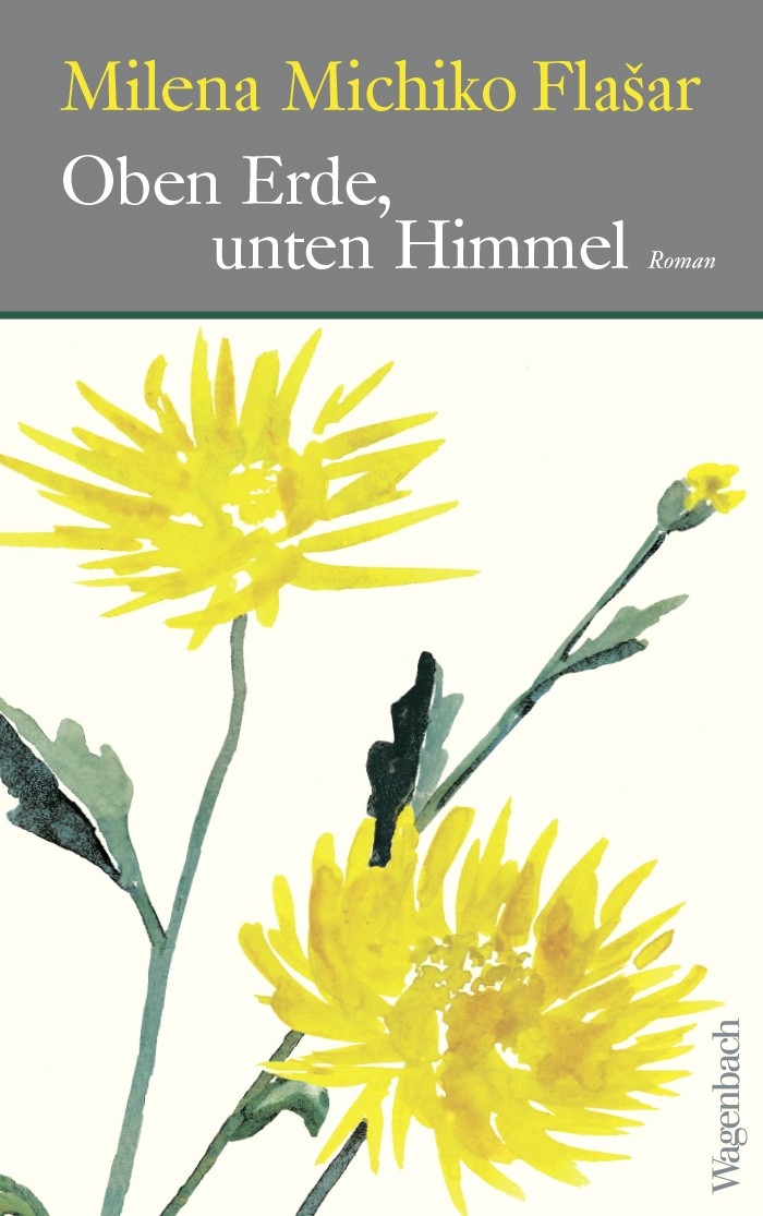 Oben Erde, unten Himmel (Hardcover, Deutsch language, Wagenbach)