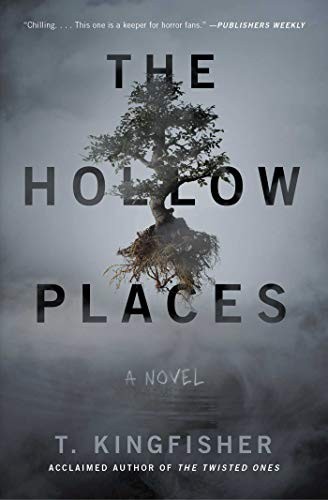 The Hollow Places (2020, Gallery / Saga Press)