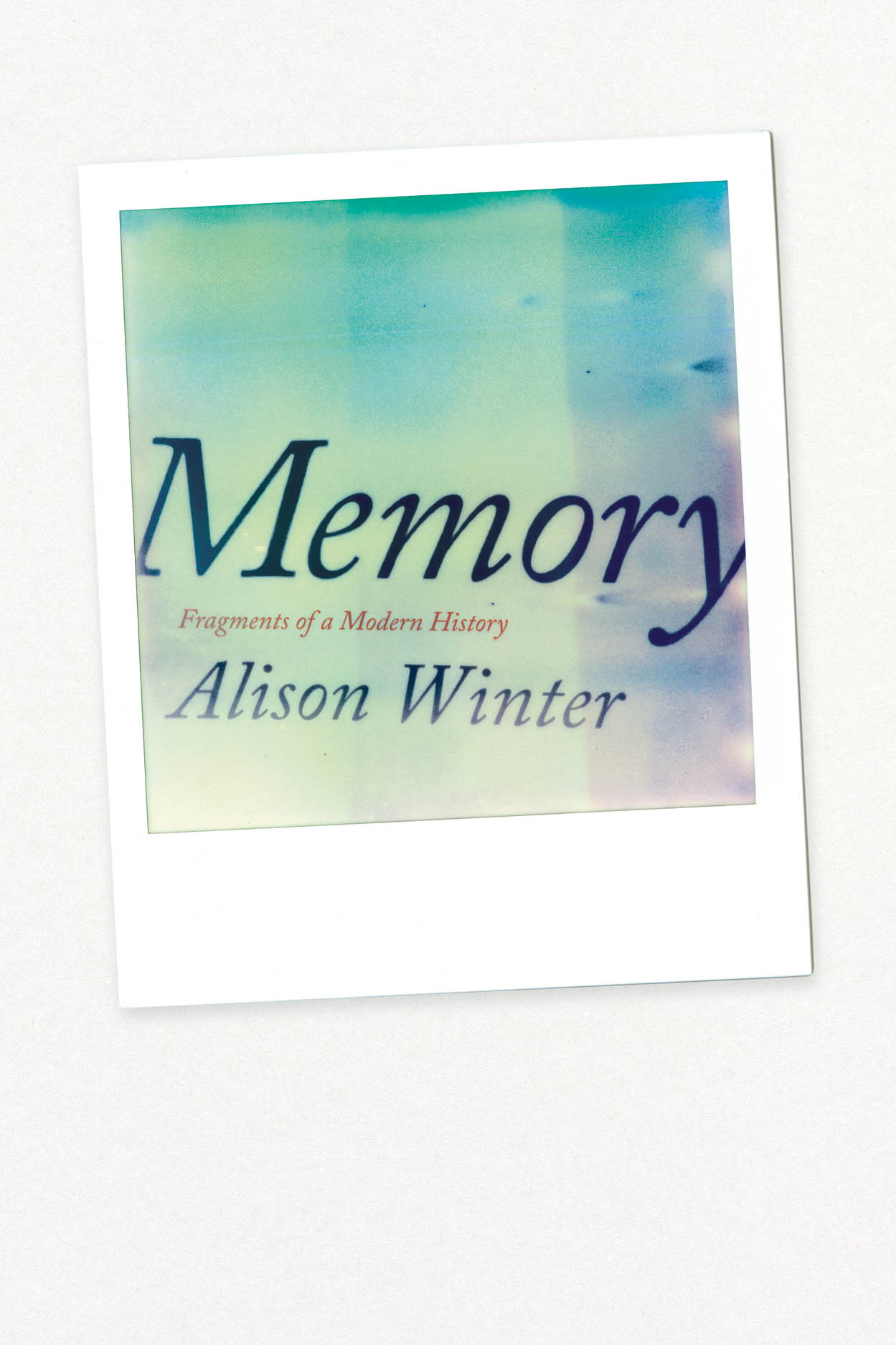 Memory (Hardcover, 2013)
